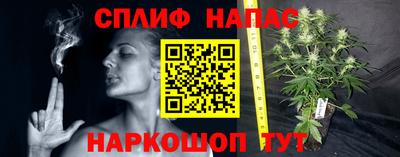 стафф Малоярославец